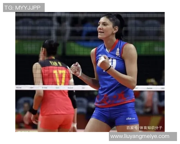 武汉排球队实力强劲最新排球力量排名前十揭晓