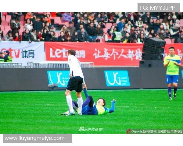 足球明星全名及其精彩瞬间的图片展示与解析