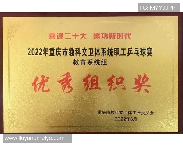 重庆乒乓球队运营策略深度剖析与发展前景展望